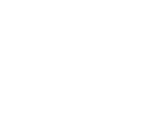 argentopercento®